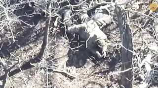 An orc was hit while trying to throw a grenade into a dugout