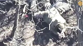 An orc was hit while trying to throw a grenade into a dugout