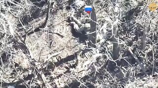 An orc was hit while trying to throw a grenade into a dugout