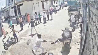Man Attacked, Gored By Stray Bull in India