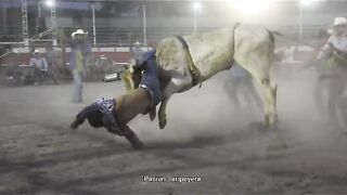 FUCKING BRUTAL , idiot crushed and sodomized by bull