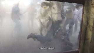 FUCKING BRUTAL , idiot crushed and sodomized by bull