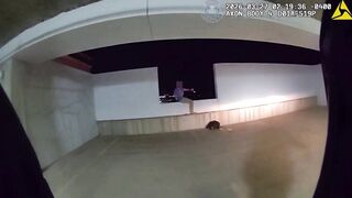 Sarasota Police Officers Save Individual in Mental Health Crisis