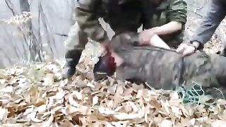 Classic Armenian soldier had his throat slit in the forest