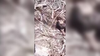 Rival Female Cartel Member’s Body Shredded by Machine Gun Rounds