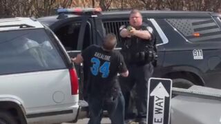 Suspect Tased After Crash During Police Chase In Michigan