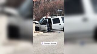 Suspect Tased After Crash During Police Chase In Michigan