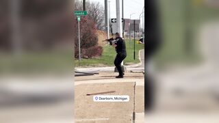 Suspect Tased After Crash During Police Chase In Michigan