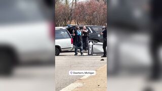 Suspect Tased After Crash During Police Chase In Michigan