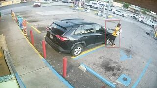 Florida Woman Gets Hammered to Death (Another Angle)