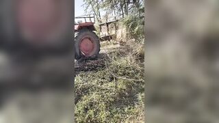 Woman Electrocuted After Tractor Hits High-Voltage Power Lines in Field