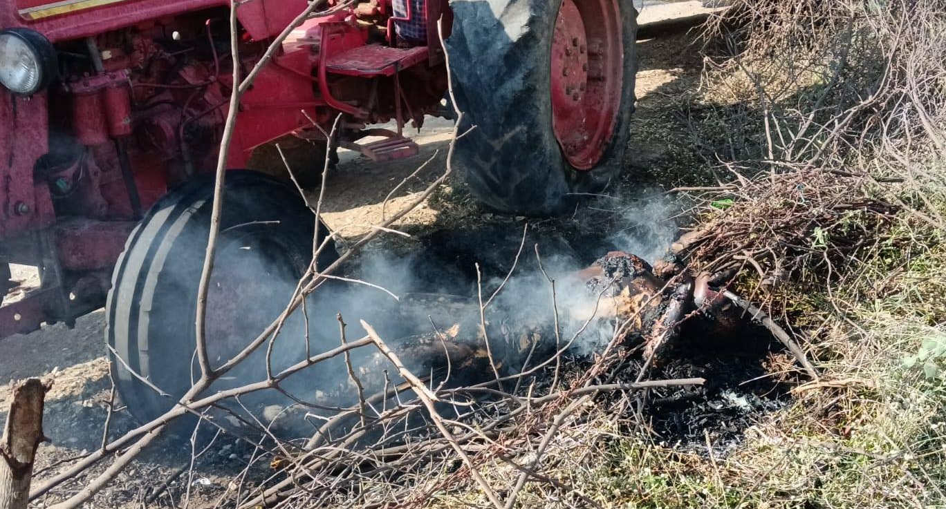 Woman Electrocuted After Tractor Hits High-Voltage Power Lines in Field