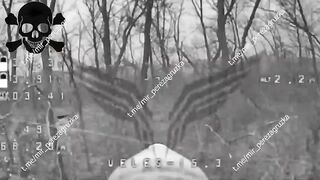53 Ukrats genocided in a failed assault.