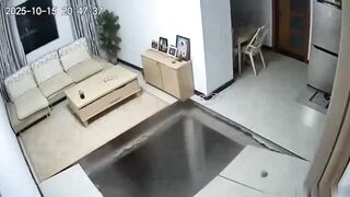 When your cat is way too heavy for your house