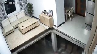 When your cat is way too heavy for your house