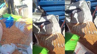 Crushed by truck