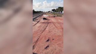 Nightmare on the Road: Car vs. Truck Leaves Driver Dead in Grisly Wreck