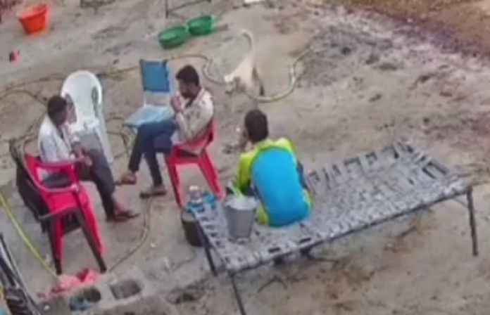 Panic in Mhow Village Near Indore as Stray Dog Fiercely Attacks 5 Residents