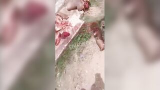 Venezuelan Gang Dismembers and Publicly Displays Rivals in Shocking Video