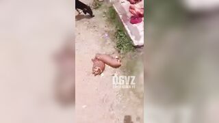 Venezuelan Gang Dismembers and Publicly Displays Rivals in Shocking Video (Extended)