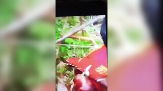A Rival Gang Member Beheaded & Dismembered in Venezuela