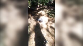 Bees (compilation)