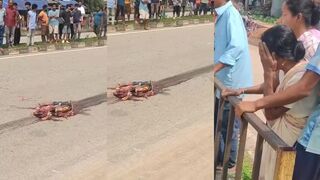 Man turned into road mush