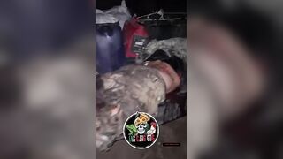 hitman killed
