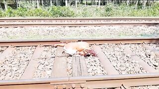Train destroys man