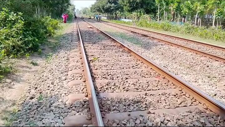 Train destroys man