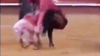 Brutal Compilation of Bullfighters getting Fucked up