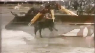 Brutal Compilation of Bullfighters getting Fucked up