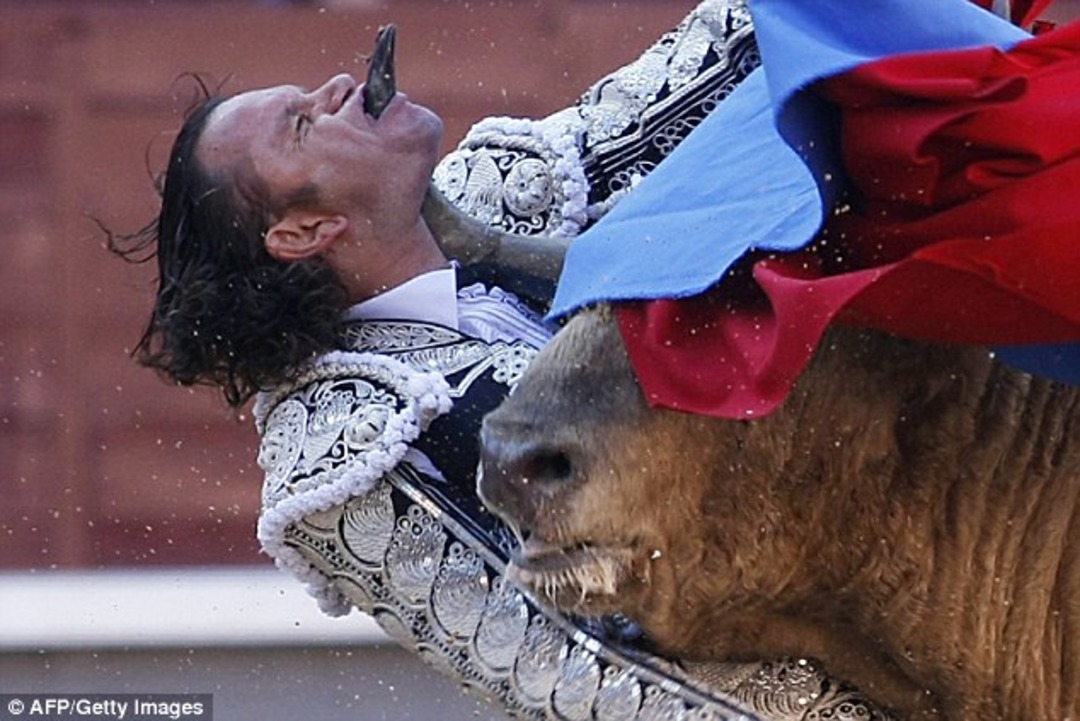 Brutal Compilation of Bullfighters getting Fucked up