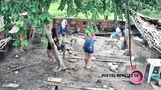 Woodshed Roof Collapse Leaves Family with 10 Injured
