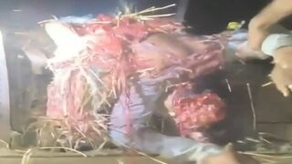 Tragic Death: Agricultural Worker Crushed and Quartered in Thresher