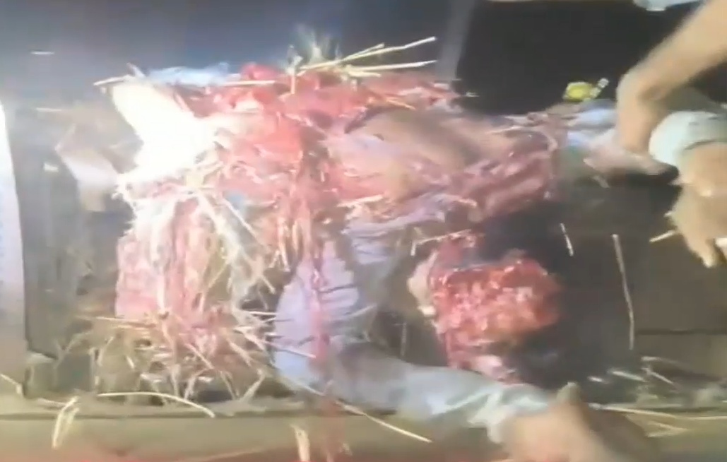 Tragic Death: Agricultural Worker Crushed and Quartered in Thresher