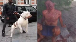 Brazilian thief suffers mental breakdown after his face is brutally mutilated by a pi