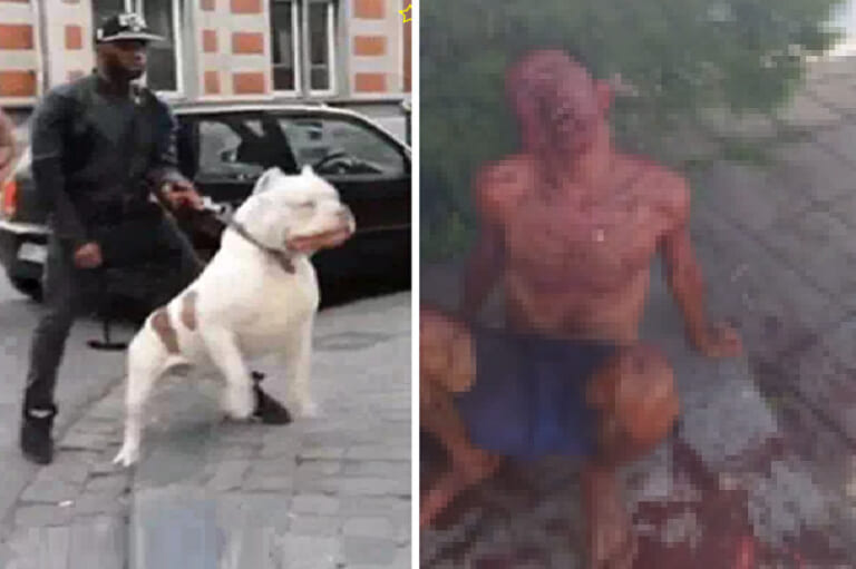 Brazilian thief suffers mental breakdown after his face is brutally mutilated by a pi