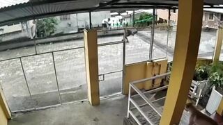 Venezuelan Man Ambushed, Killed By Sicario In Ecuador