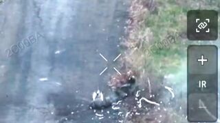 The Orcs killed two of their comrades who were trying to surrender
