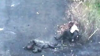 The Orcs killed two of their comrades who were trying to surrender