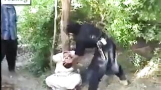 Classic:Rapid Execution