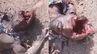 RSF Fighter Had A Mind-Blowing Experience