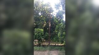 A Lineman Burned Alive Who Working On Power Line in Sitapur