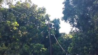 A Lineman Burned Alive Who Working On Power Line in Sitapur