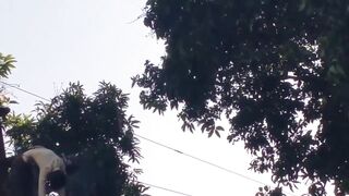 A Lineman Burned Alive Who Working On Power Line in Sitapur