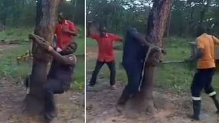 38-Year-Old Man Tied to a Tree & Whipped for Relationship with 16-Year-Old Girl