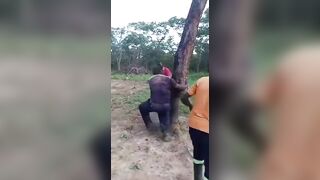 38-Year-Old Man Tied to a Tree & Whipped for Relationship with 16-Year-Old Girl