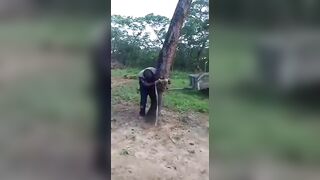 38-Year-Old Man Tied to a Tree & Whipped for Relationship with 16-Year-Old Girl