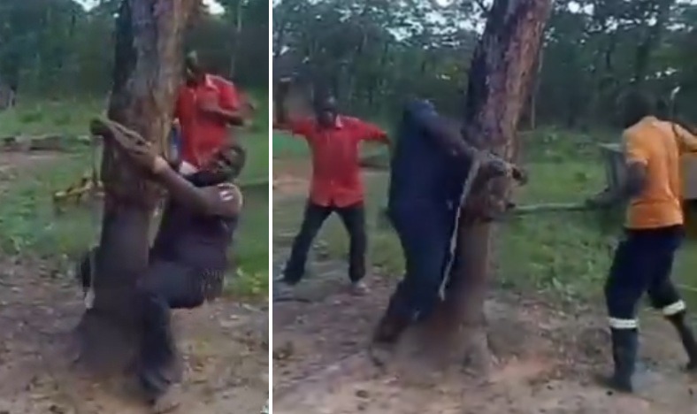 38-Year-Old Man Tied to a Tree & Whipped for Relationship with 16-Year-Old Girl